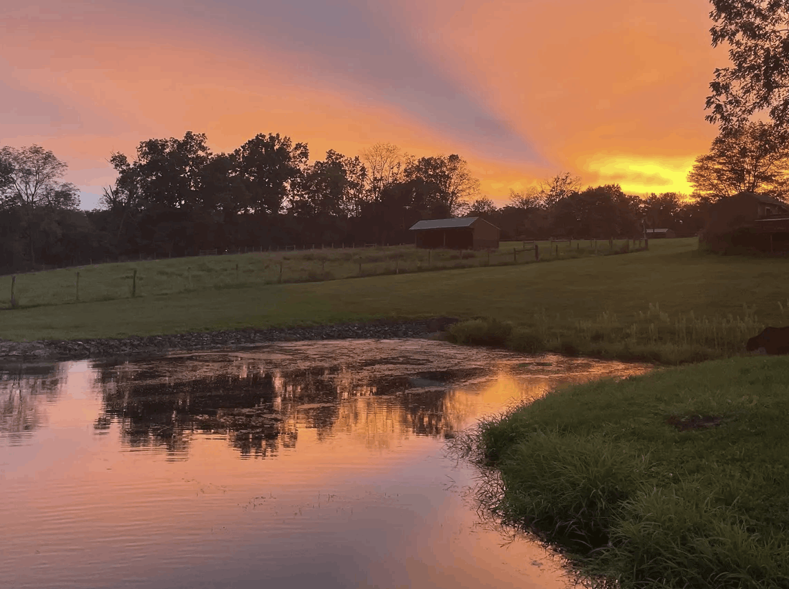 ad57ff4aa6b27e3f5955ea3329b131808bb49137 (1)