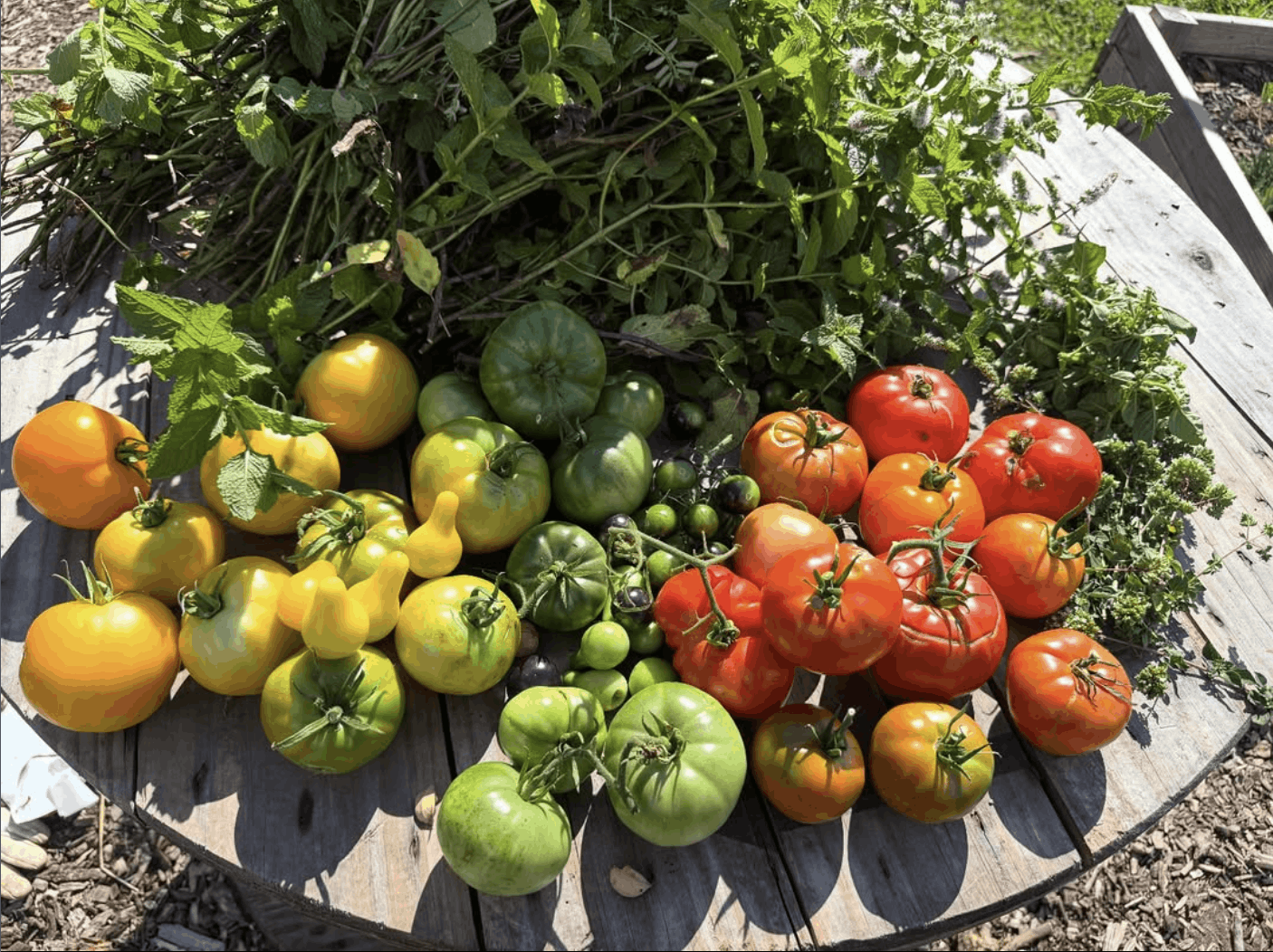 d05d5451b2949758cfd291a1e539e2acffbe9901