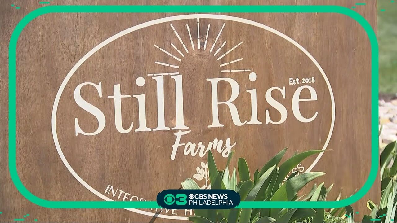 video-thumbnail-3 (1)